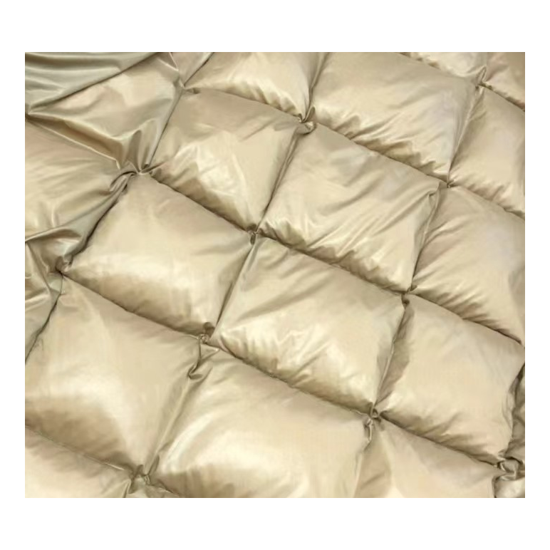 Moncler Glossy Long Puffer Coat with Gold Lining – Black
