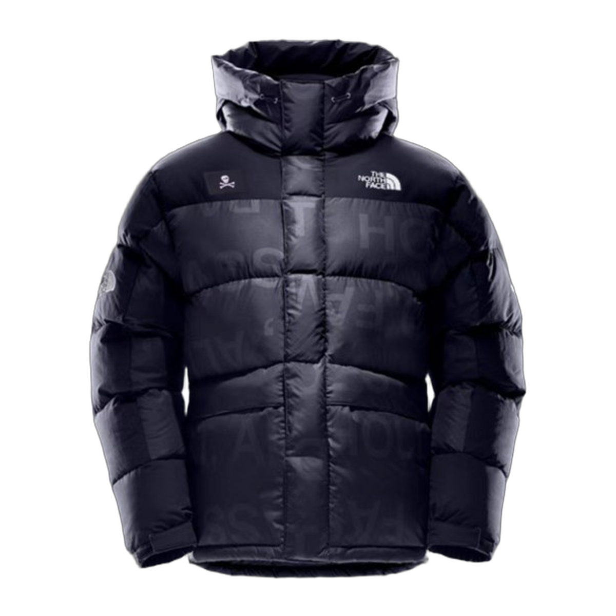 The North Face UE Down Parka, Special Series 5J27