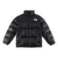 The North Face Two-Tone Puffer Jacket with Stand Collar
